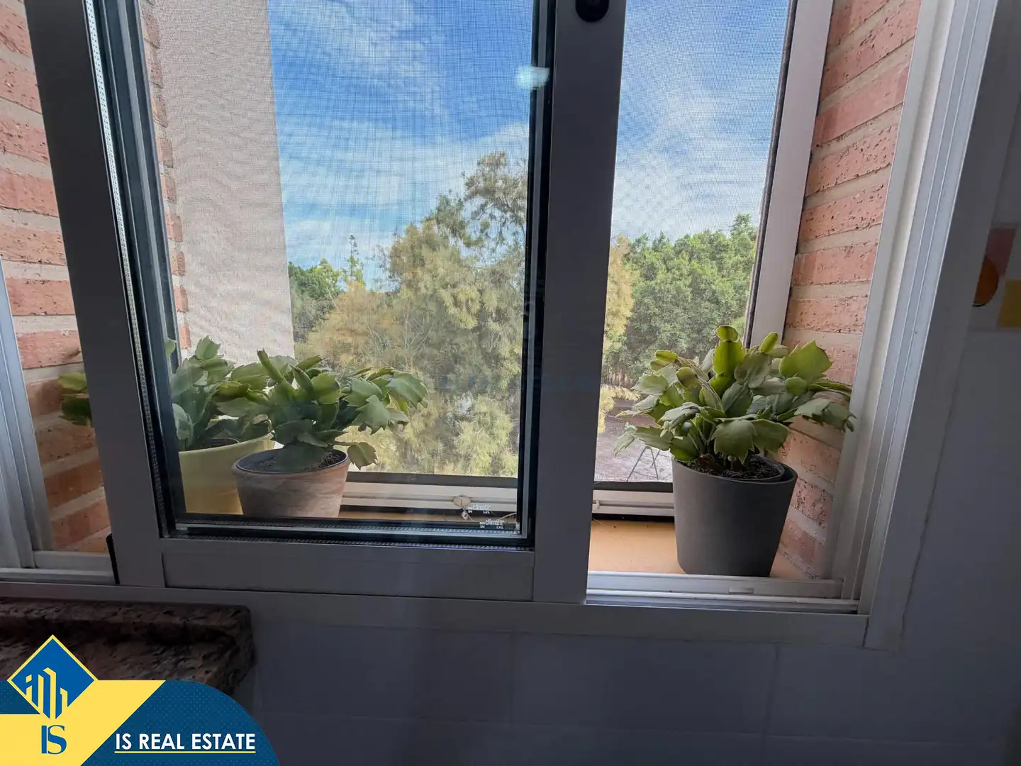 Apartamento con ascensor en venta en Pilar de la Horadada ciudad, imagen 47