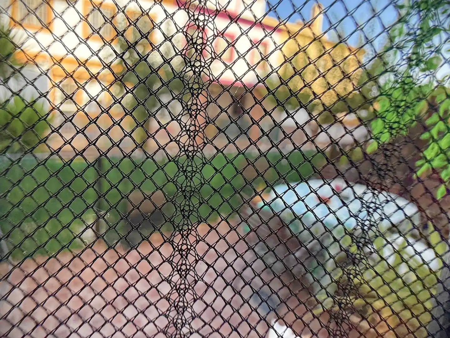 Adossat amb piscina en venda a Fuente de Piedra, imagen 33