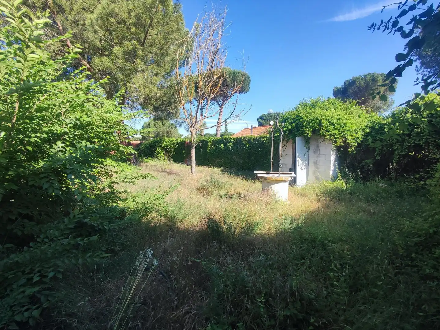 Casa o xalet en venda en Traspinedo amb Calefacció, Jardí privat i Piscina