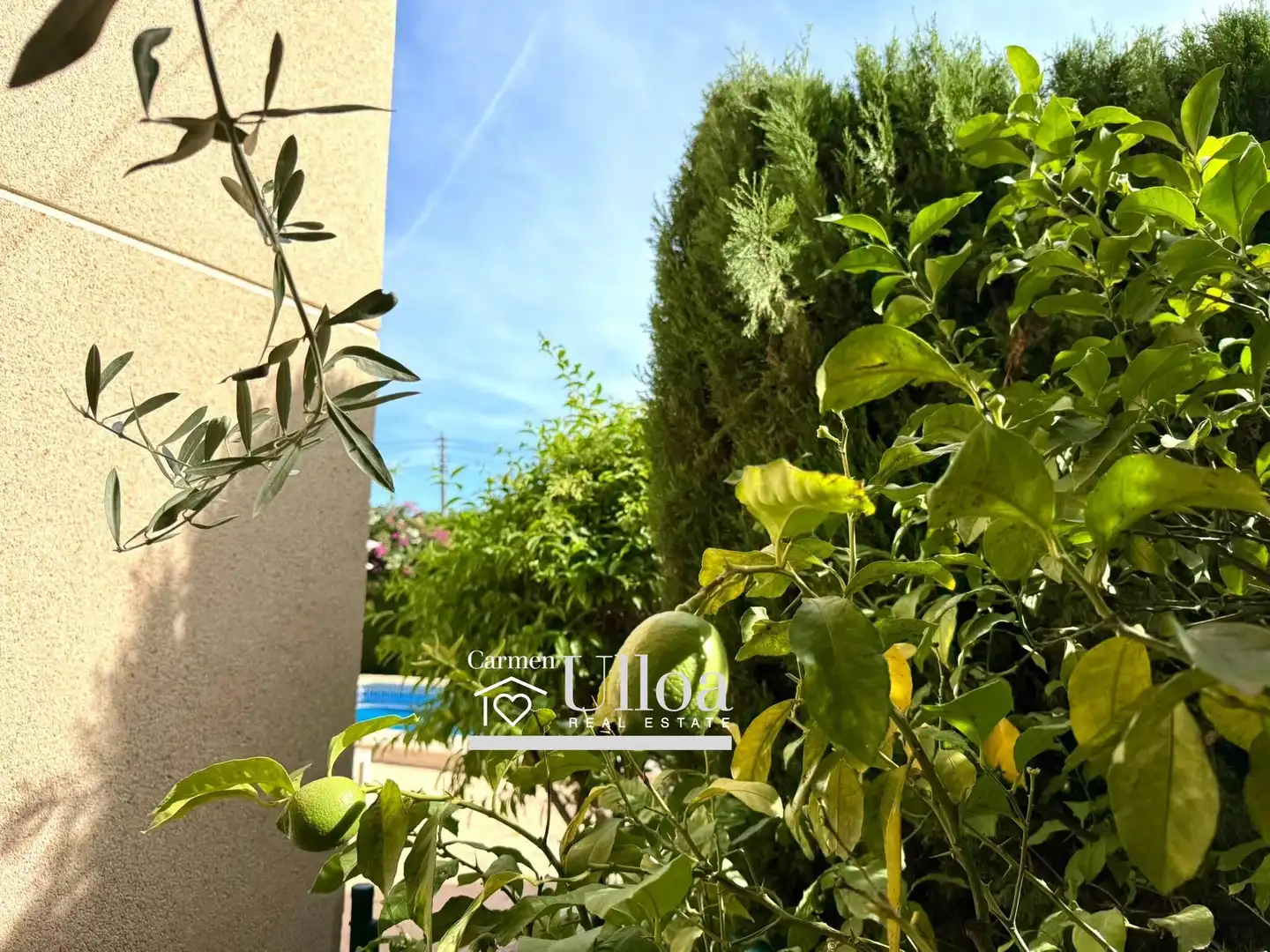 Detached house with pool for sale in Calle del Pino, imagen 58