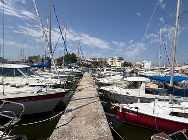 Casa con piscina en venta en Avinguda del Nord
