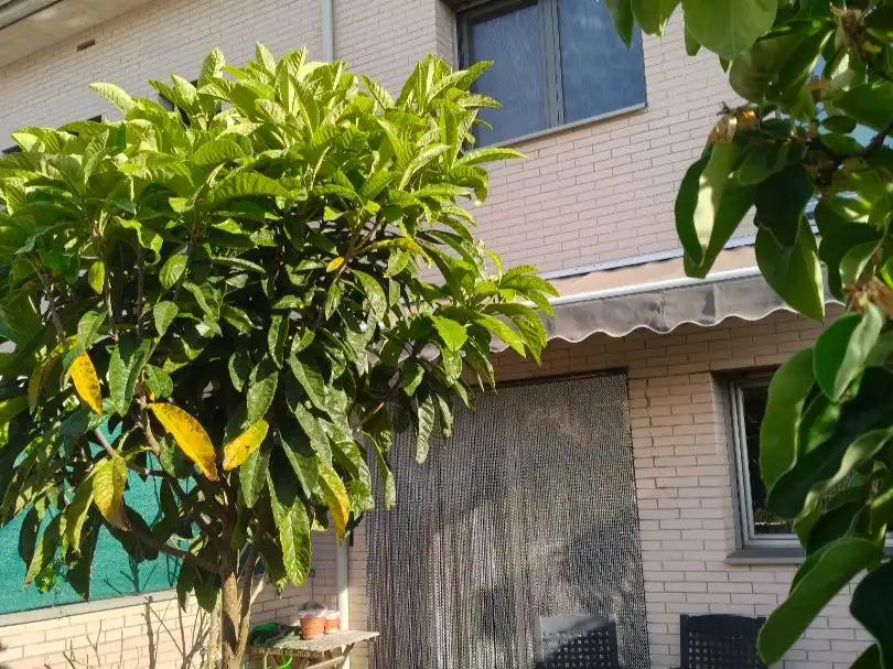 Maison jumelée avec jardin à vendre à Pirineus 15, imagen 27