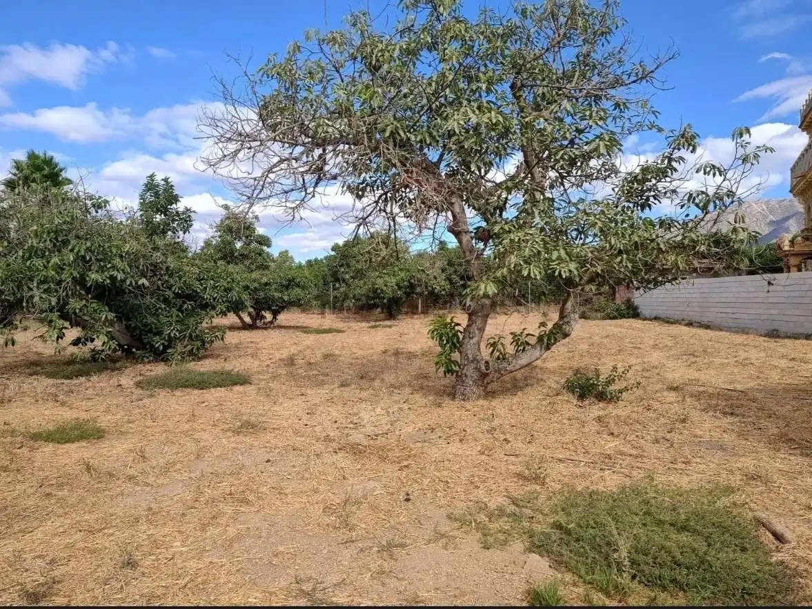 Terreni e lotti in vendita a Rincón del hinojal 0, imagen 4