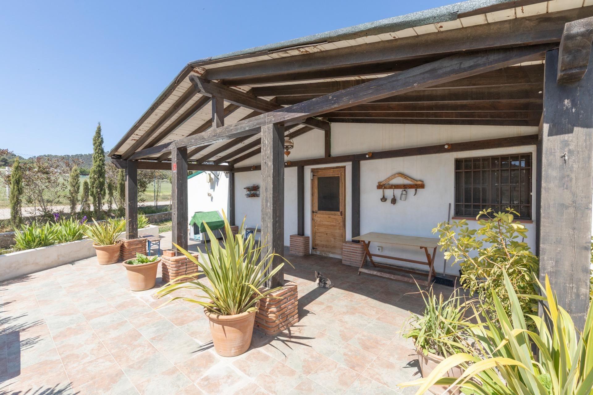 Jardín de Terreno en venta en Padul