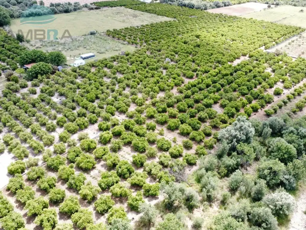 Rural land for sale in Partida Garroferal, imagen 11