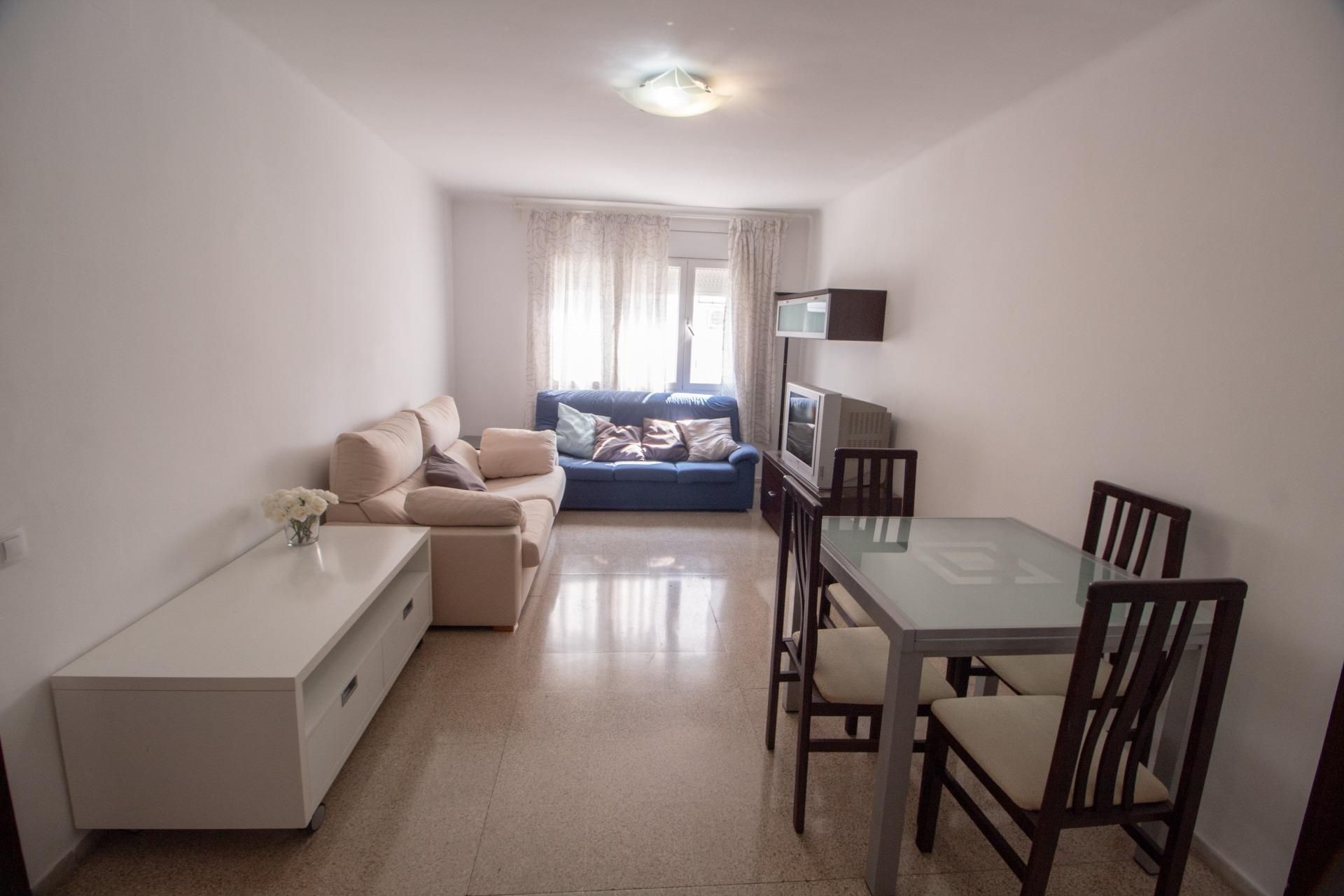 Living room of Flat to rent in Cerdanyola del Vallès