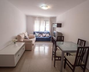Living room of Flat to rent in Cerdanyola del Vallès