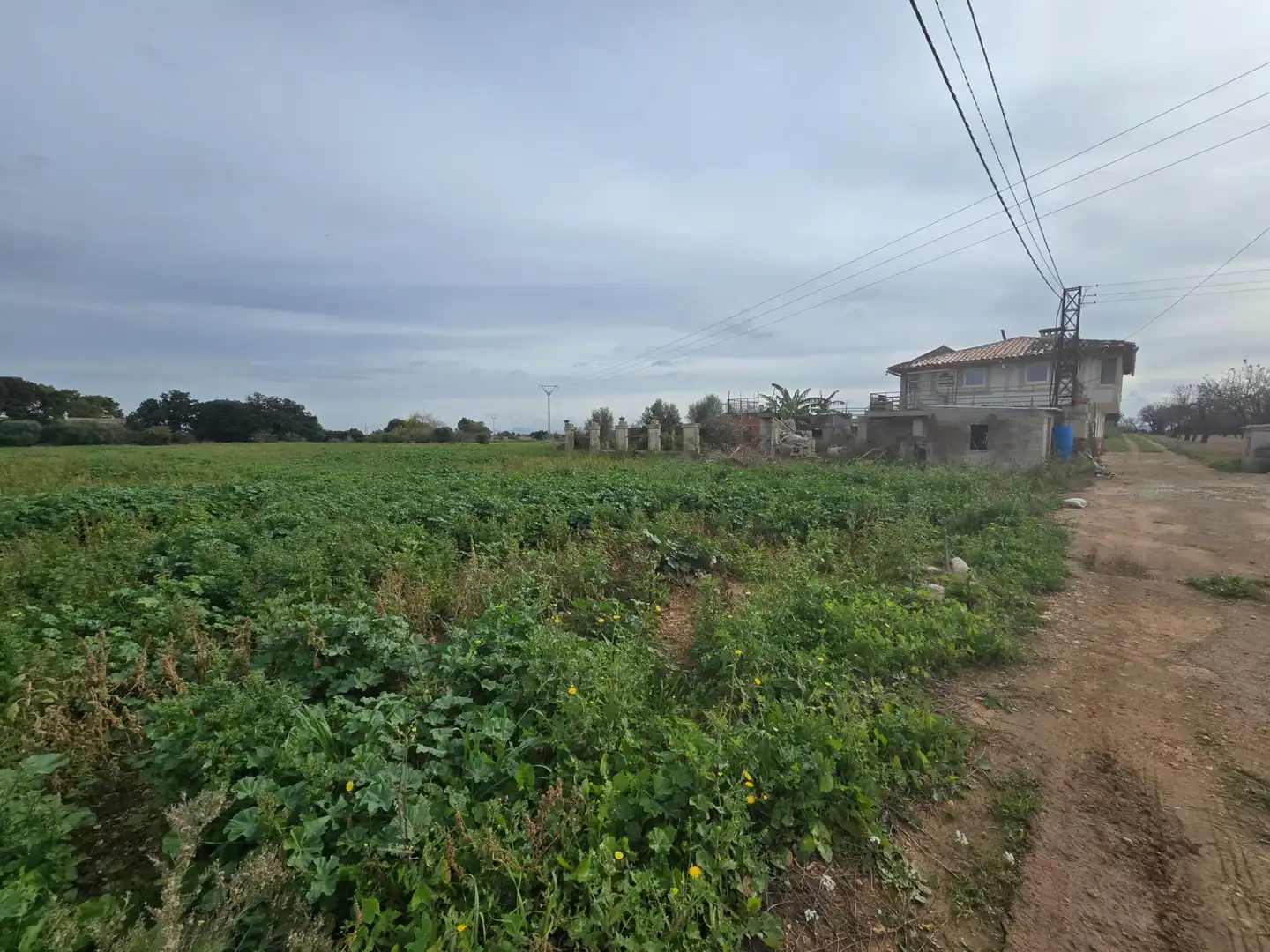 Casa rústica en venda a Búger, imagen 11