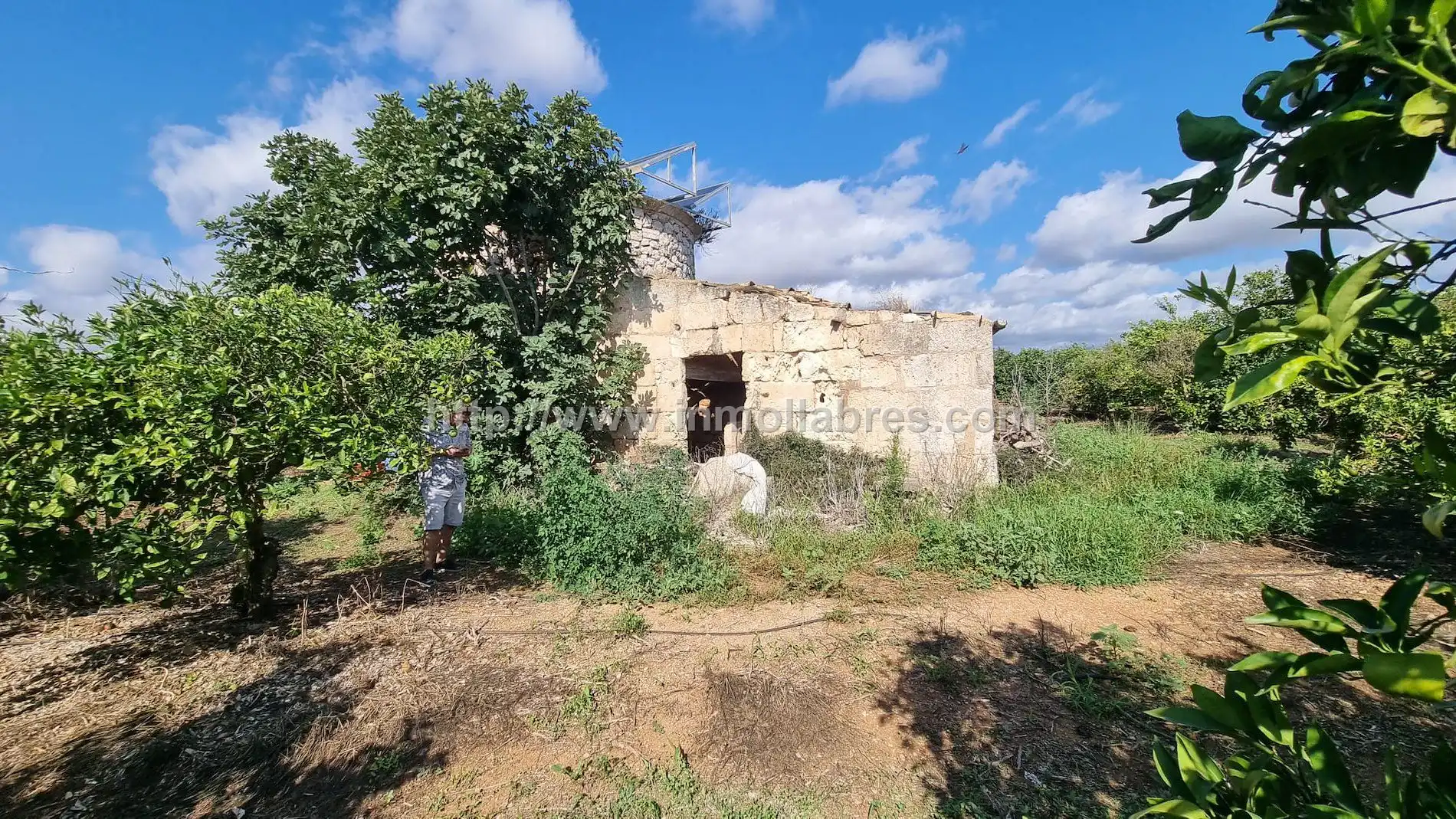 Maison rustique à vendre à Muro, imagen 10