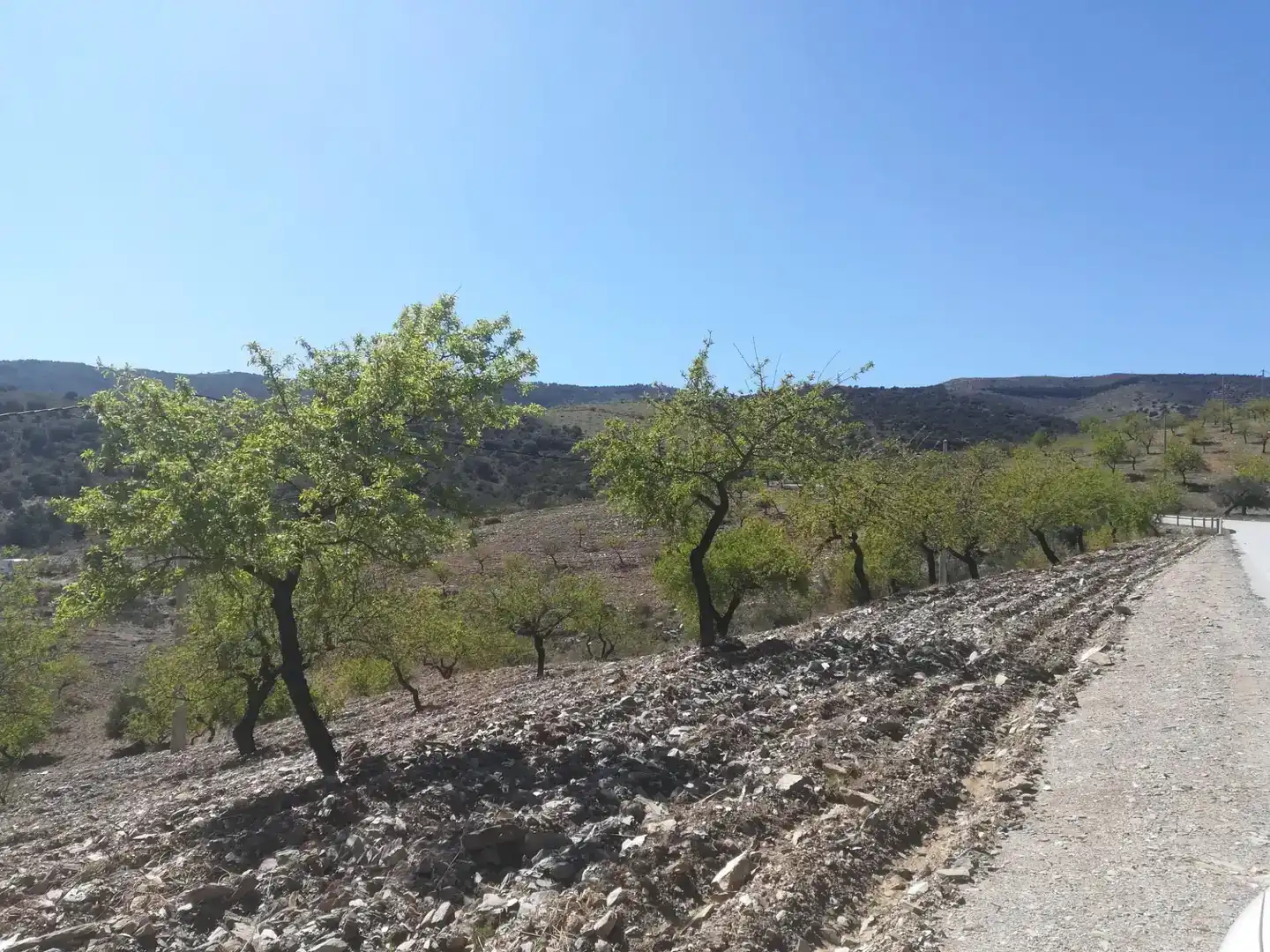 Terreno en venta en Tahal