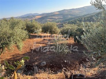 Terrenys i solars en venda a Periana
