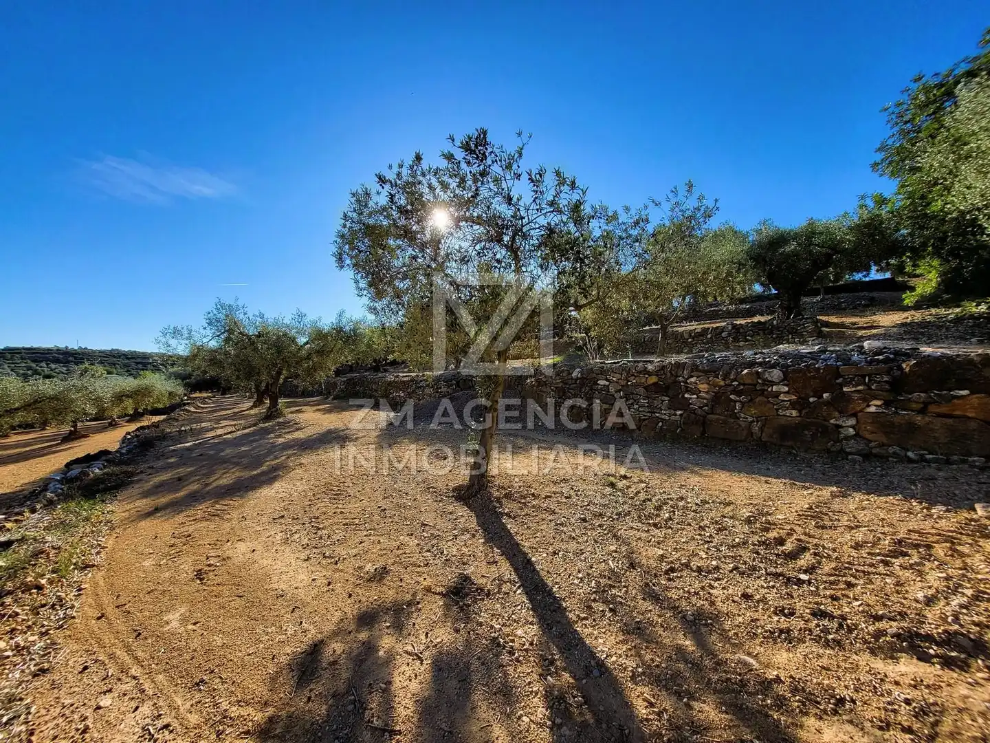 Casa rústica en venta en Traiguera, imagen 19