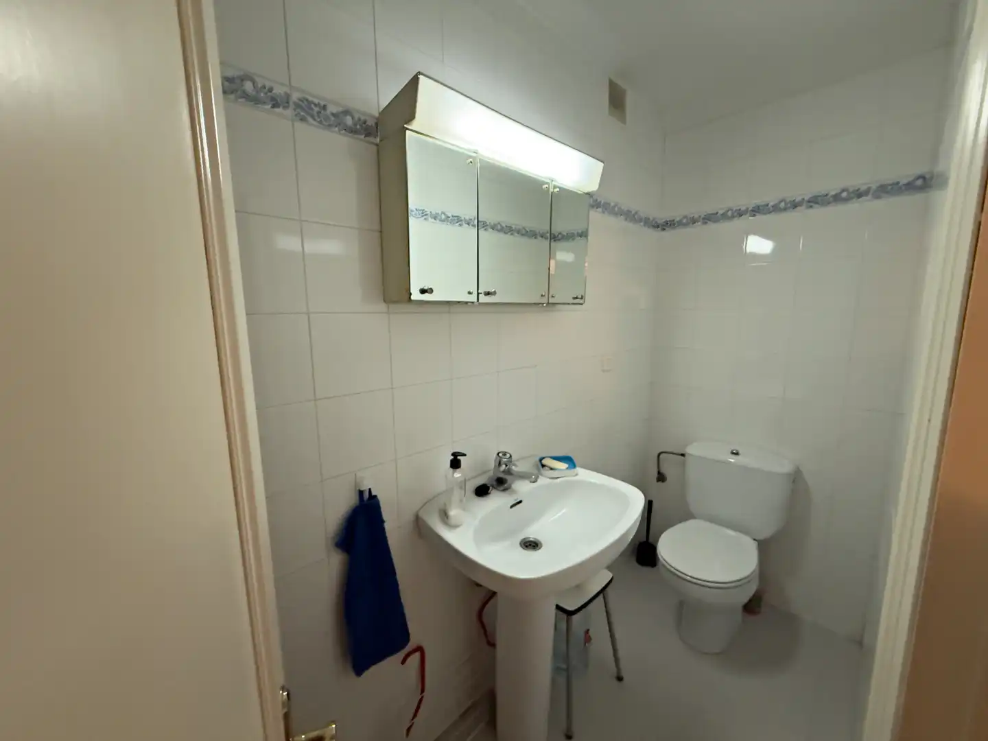 Bany de Casa o xalet en venda en Oviedo  amb Calefacció, Jardí privat i Parquet