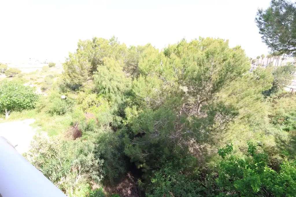 Apartament en venda en Orihuela amb Terrassa, Piscina i Moblat
