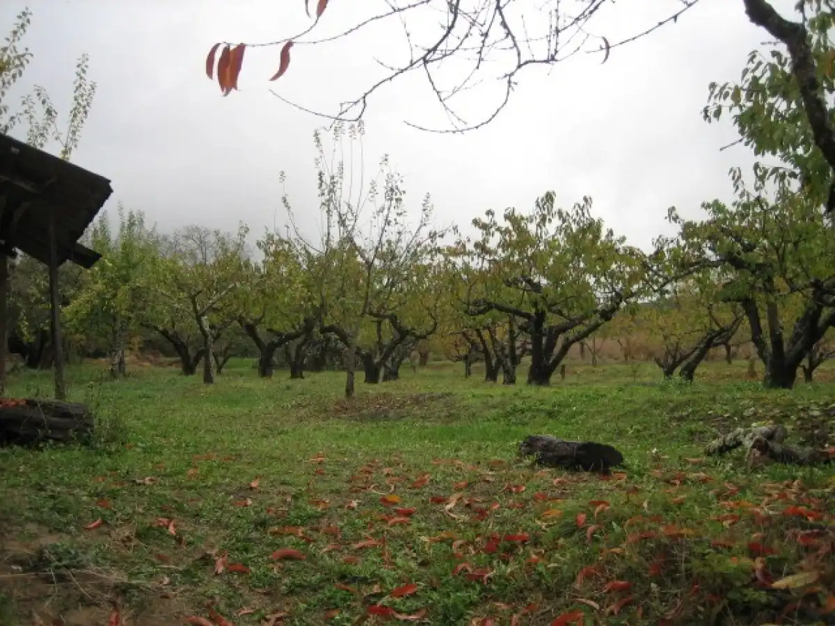 Casa o chalet en venta en Arganza