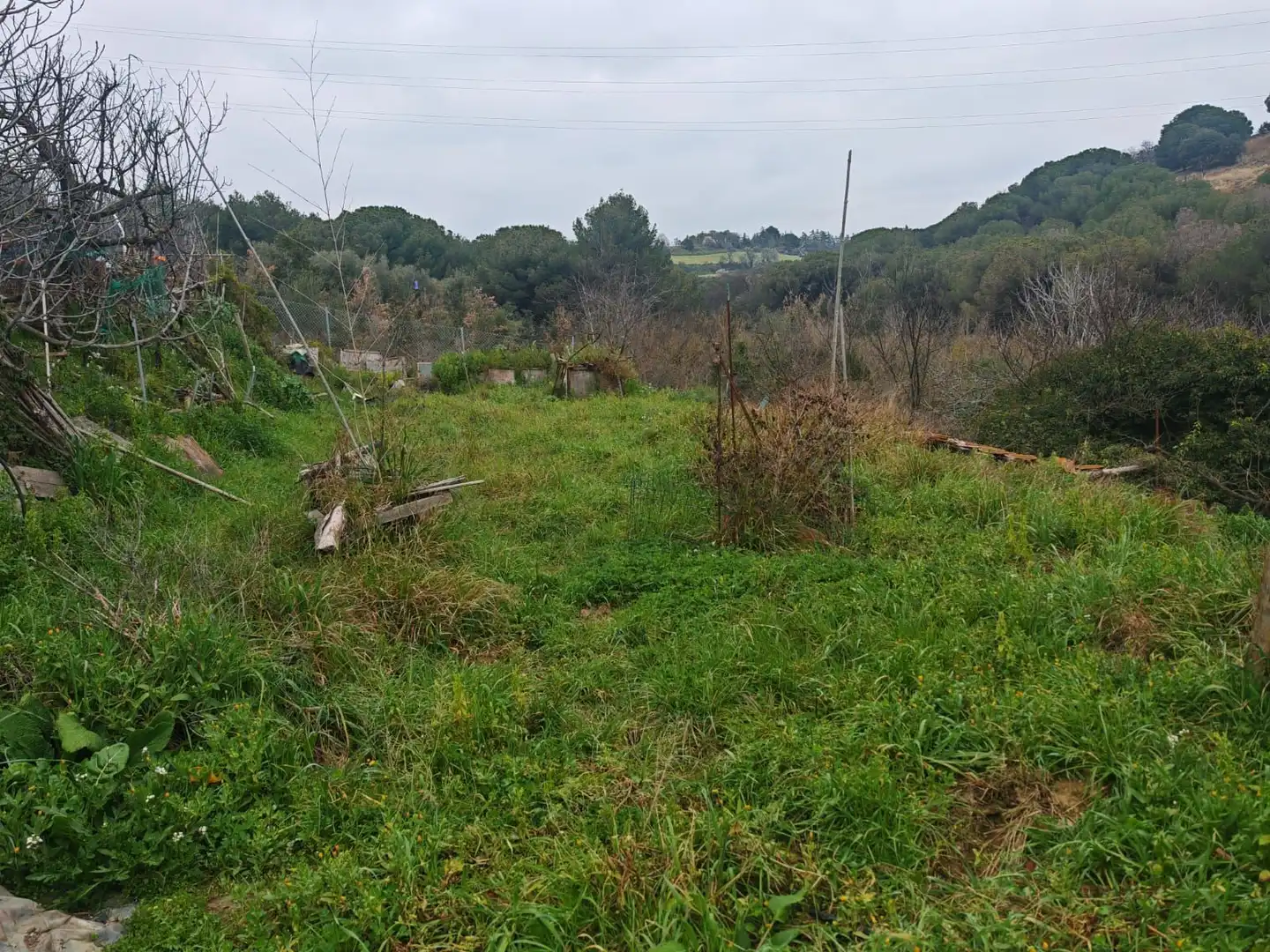 Terreno rustico in vendita a Zona Industrial, imagen 11