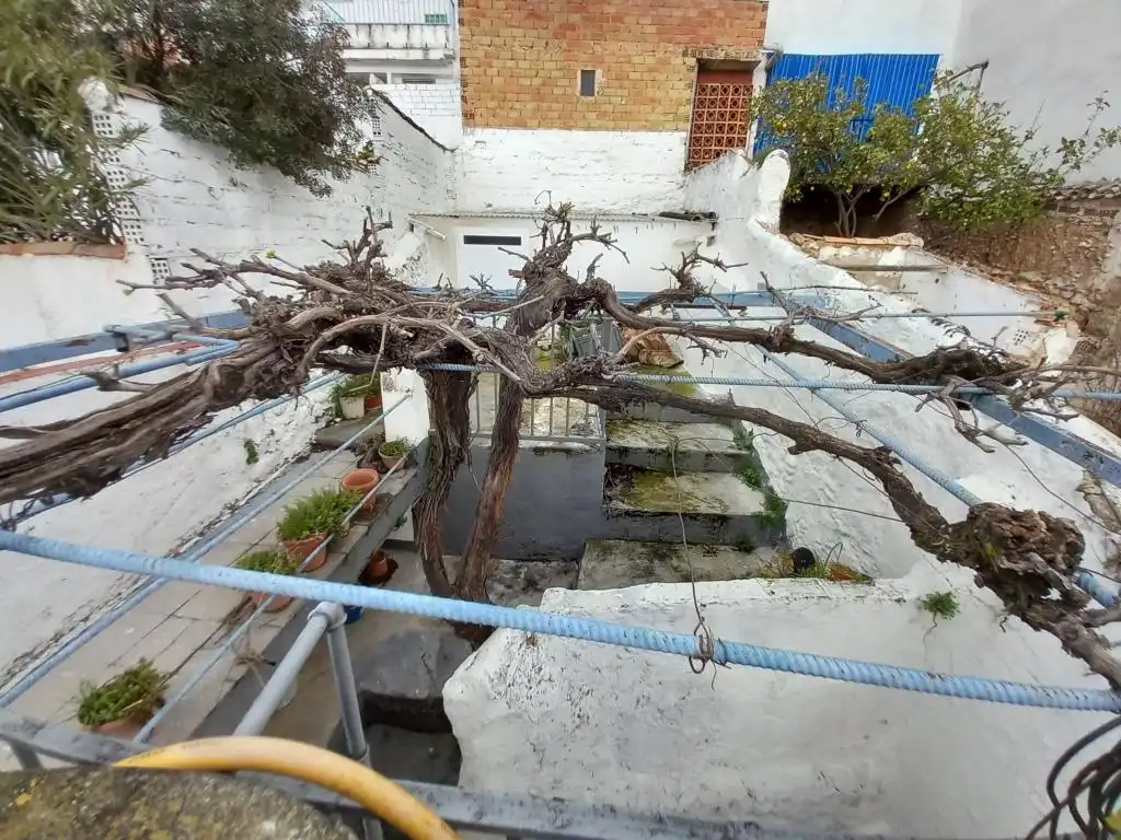 Garten von Einfamilien-Reihenhaus zum Verkauf in Martos mit Terrasse und Möbliert