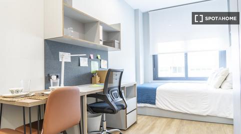 Foto 3 de Estudio para compartir en La Buhaira,  Sevilla Capital