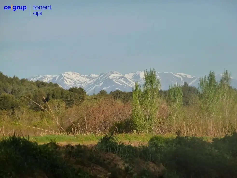 Vista exterior de Casa o chalet en venta en Saus, Camallera i Llampaies con Aire acondicionado, Calefacción y Terraza