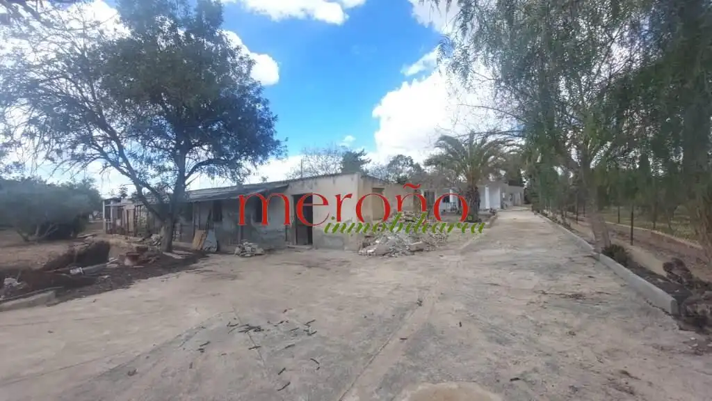 Casa o chalet en venta en Elche / Elx