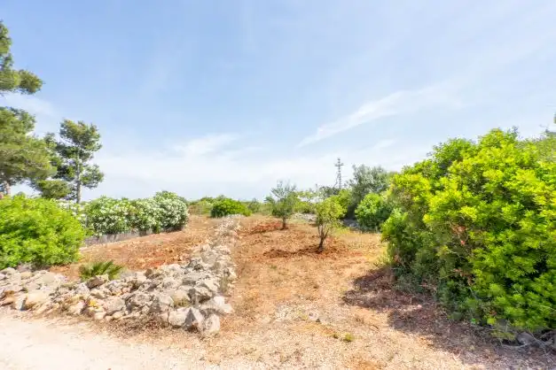 Residential land for sale in Centro ciudad, imagen 9