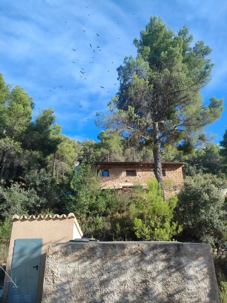 Country homes for sale in Fuentespalda