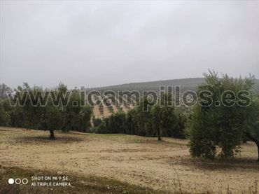 Terreno rustico in vendita a Calle TERMINO DE BAENA