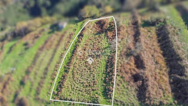 Terreno en Venta en Centro