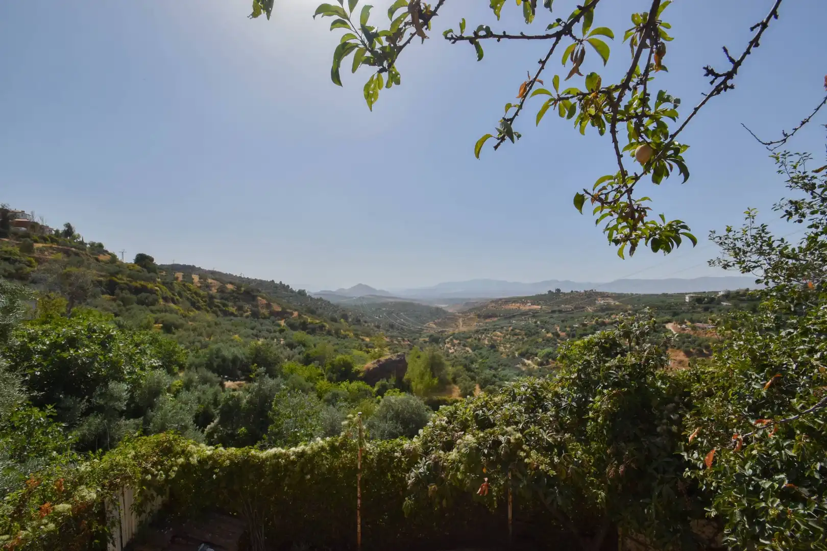 Jardín de Casa o chalet en venta en Nívar con Jardín privado, Terraza y Trastero