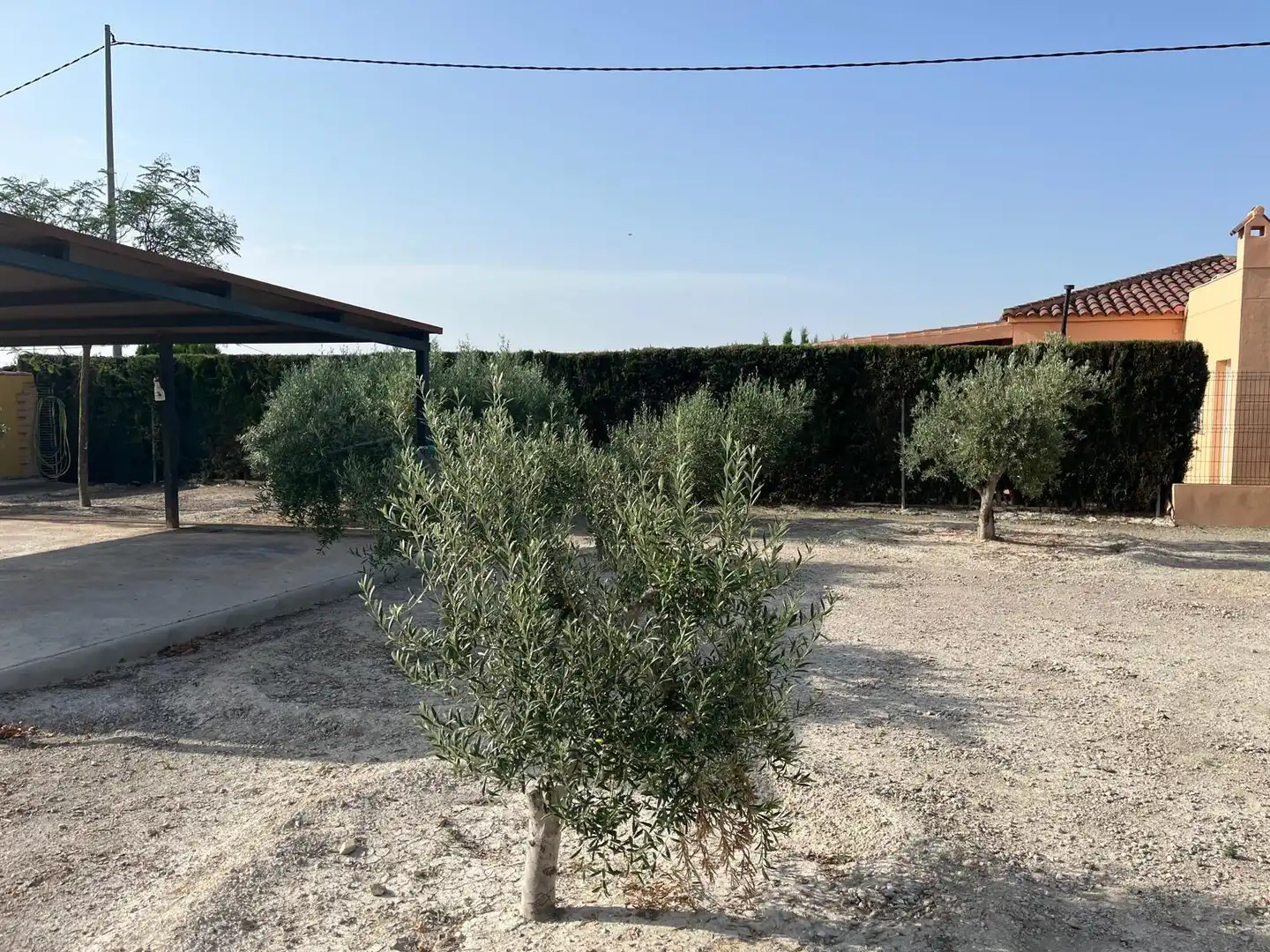 Jardín de Casa o chalet en venta en Murcia con Aire acondicionado, Calefacción y Terraza