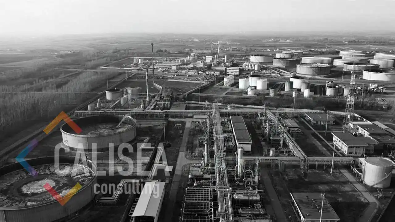 Terreny industrial en venda a Sant Cosme -La Granja