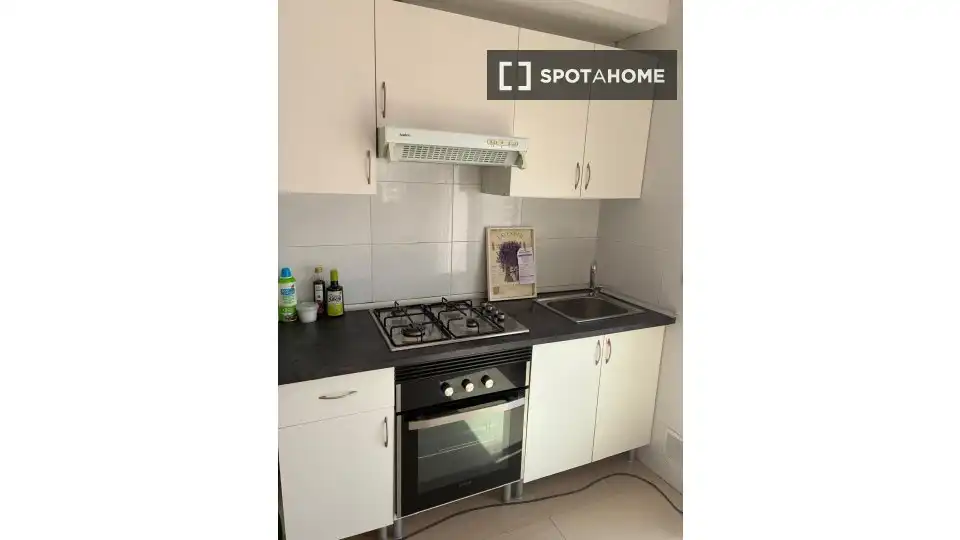 Kitchen of Apartments for share in Roquetas de Mar  with Air Conditioner, Terrace and Furnished