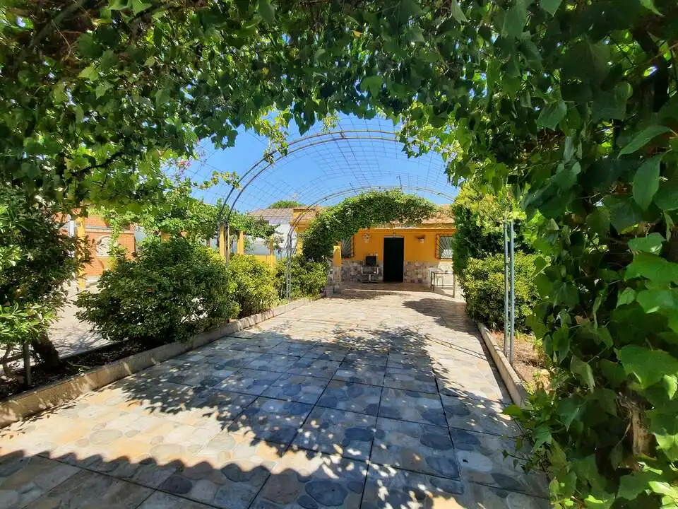 Jardín de Casa o chalet en venta en Escalona con Calefacción y Alarma