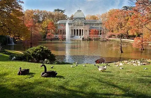 Jardí de Pis en venda en Madrid amb Aire condicionat, Calefacció i Moblat