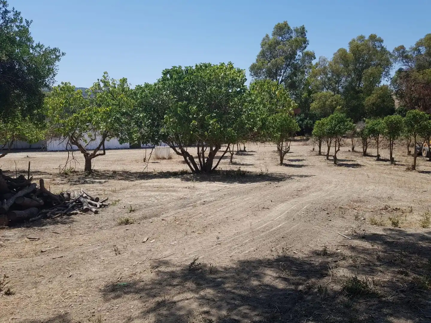 Casa rústica en venda a San Martín del Tesorillo, imagen 11