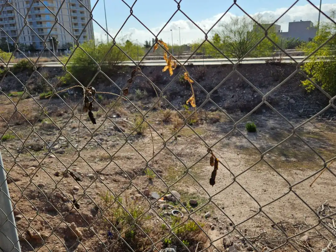 Terreny residencial en venda a Metge José Borrajo 2, imagen 6