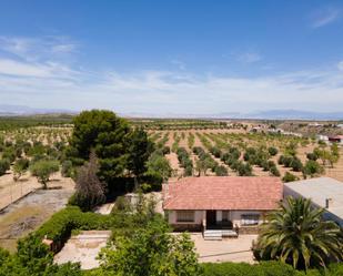 Jardí de Casa o xalet en venda en Gor amb Terrassa