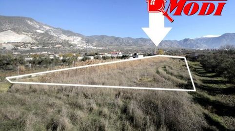 Finca de riego con 792 metros cuadrados. En esta finca no se permite la construcción de una nave de aperos, es una finca solo dest