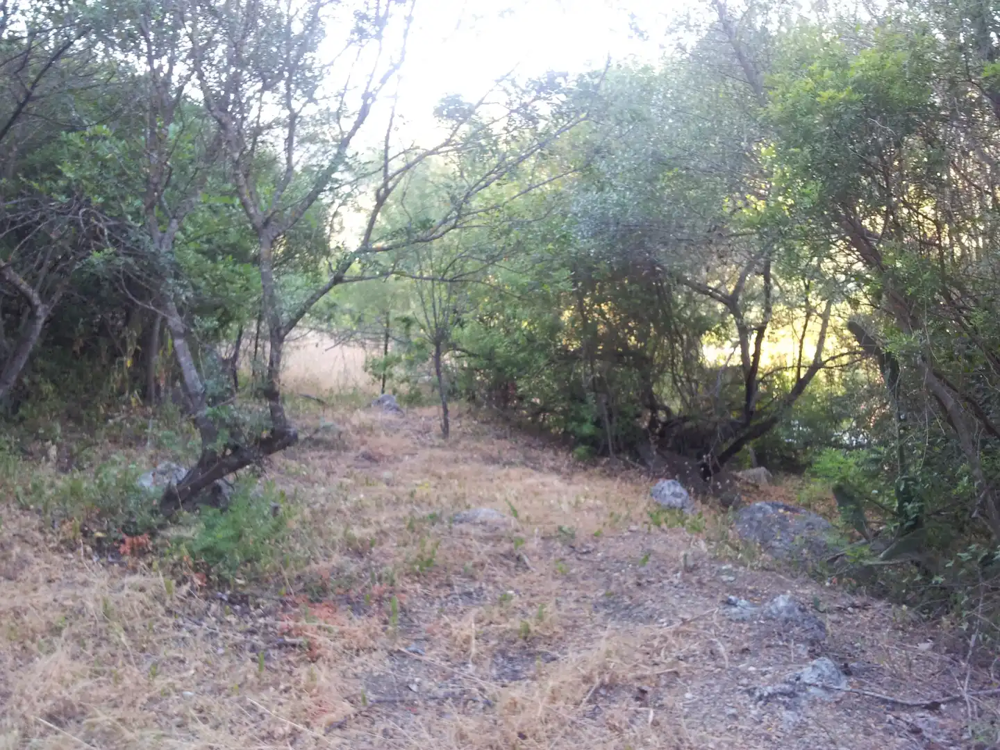 Finca rústica en venta en Ubrique