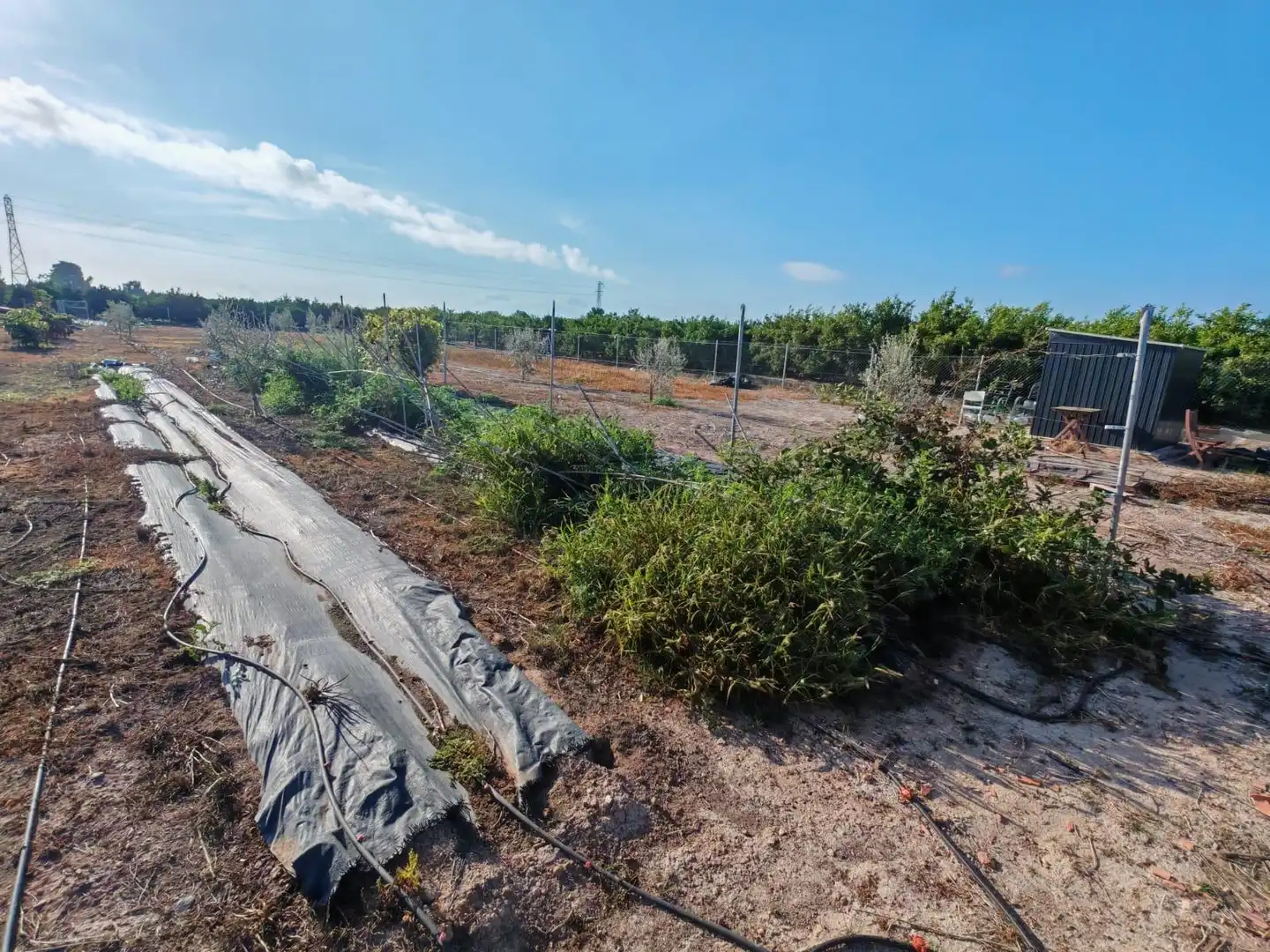 Rural land for sale in Benavites, imagen 6
