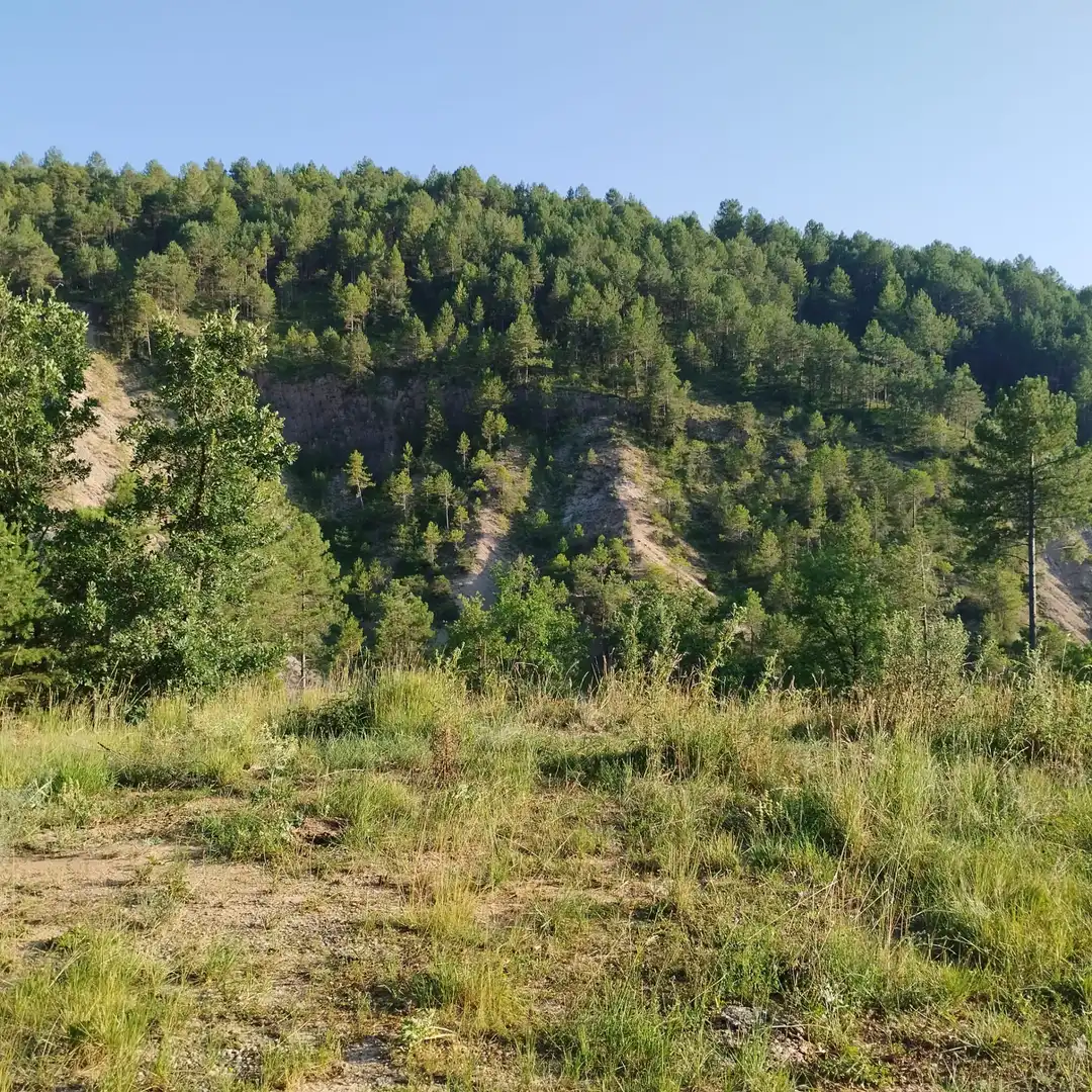 Finca rústica en venta en Guixers