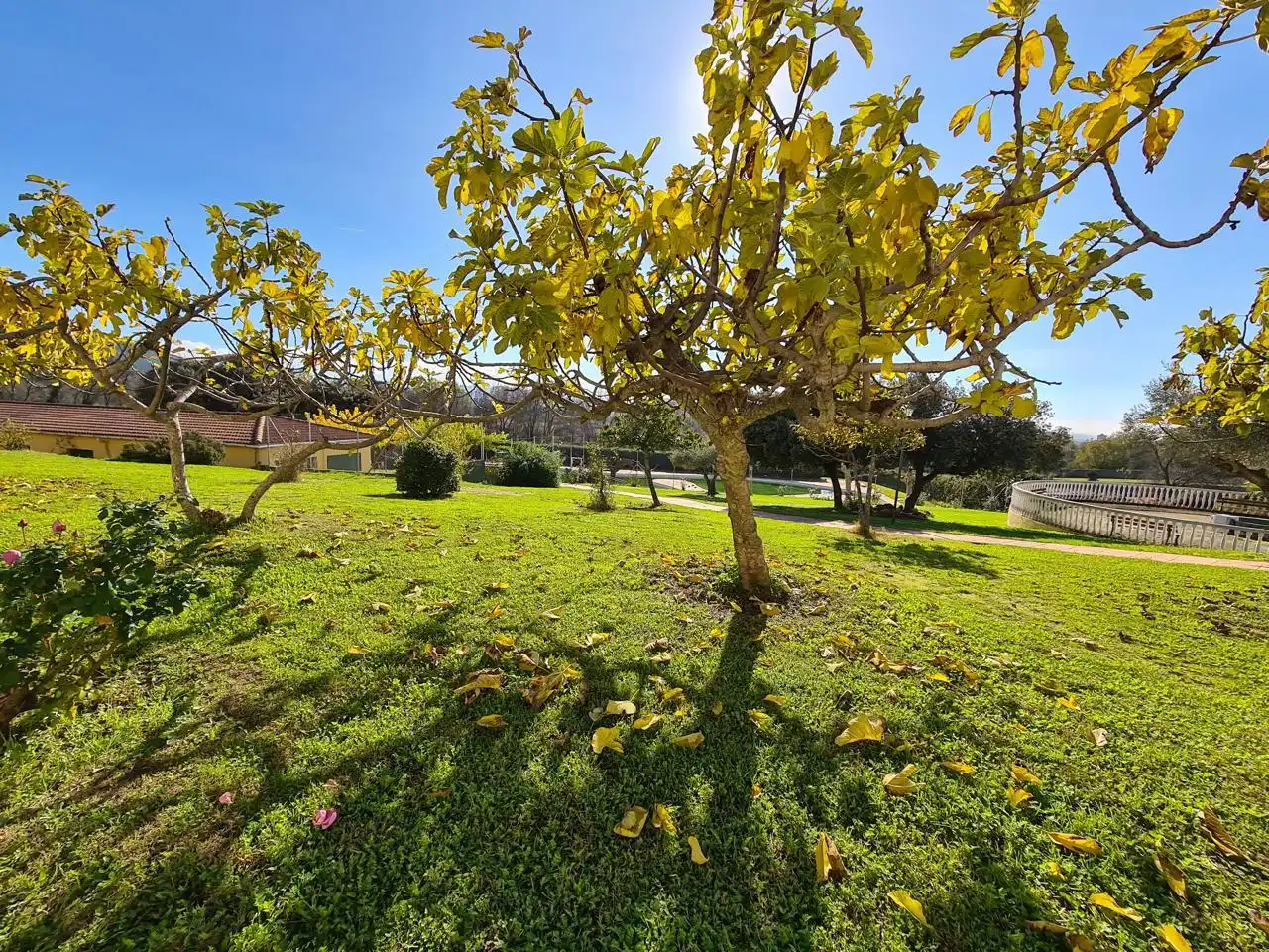 Piso en venta en Urbanización La Solana, La Adrada