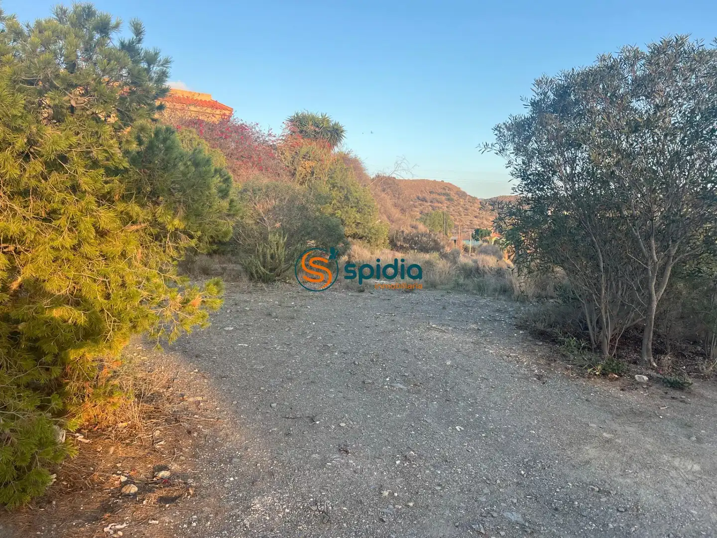 Terreny residencial en venda a Tébar - Los Arejos, imagen 2