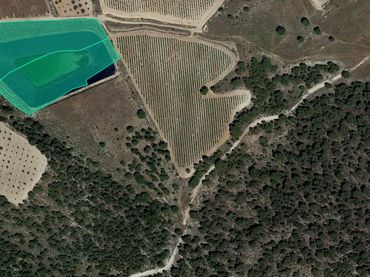 Terreno rustico in vendita a Paraje Hoyas del Carche y Umbrías del Carche