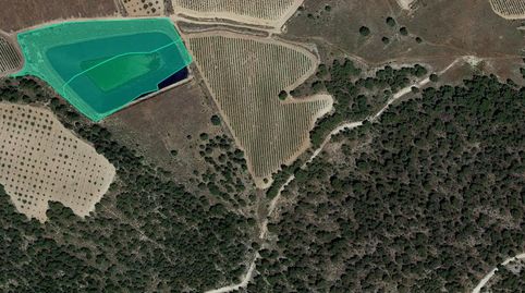 Solvia Inmobiliaria  Suelo Rústico Jumilla
