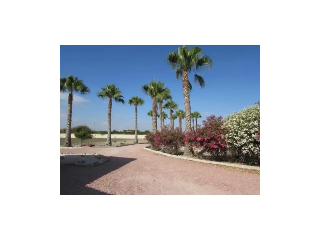 Vista exterior de Casa o chalet en venta en Dolores con Aire acondicionado, Jardín privado y Piscina