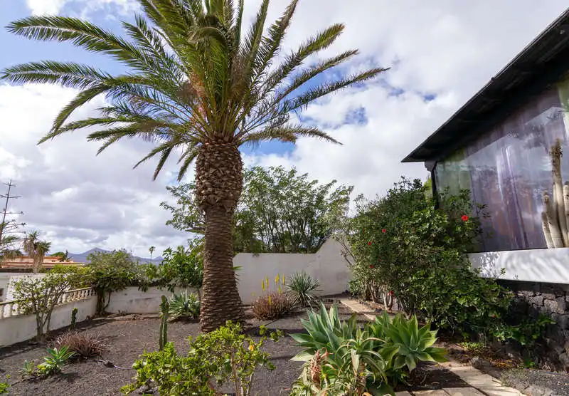 Jardín de Casa o chalet en venta en Teguise con Jardín privado y Amueblado