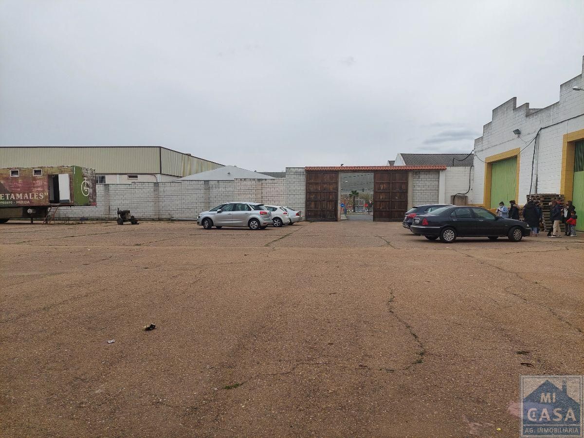 Nau industrial de lloguer a Este