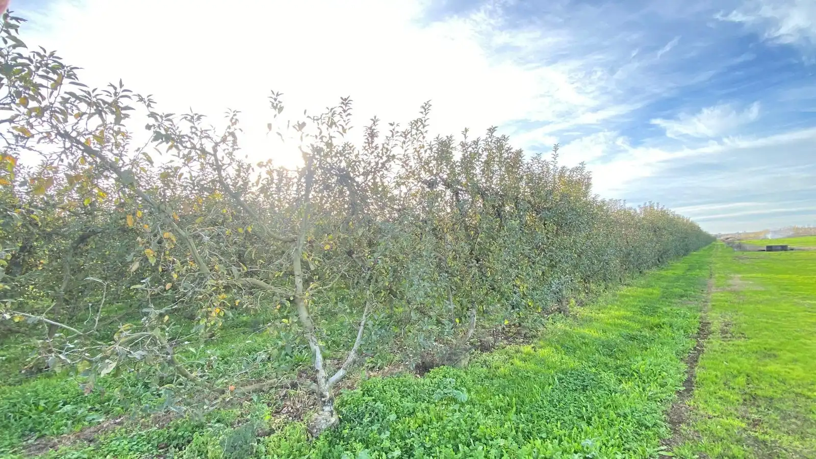 Terreni e lotti in vendita a Alagón del Río, imagen 13