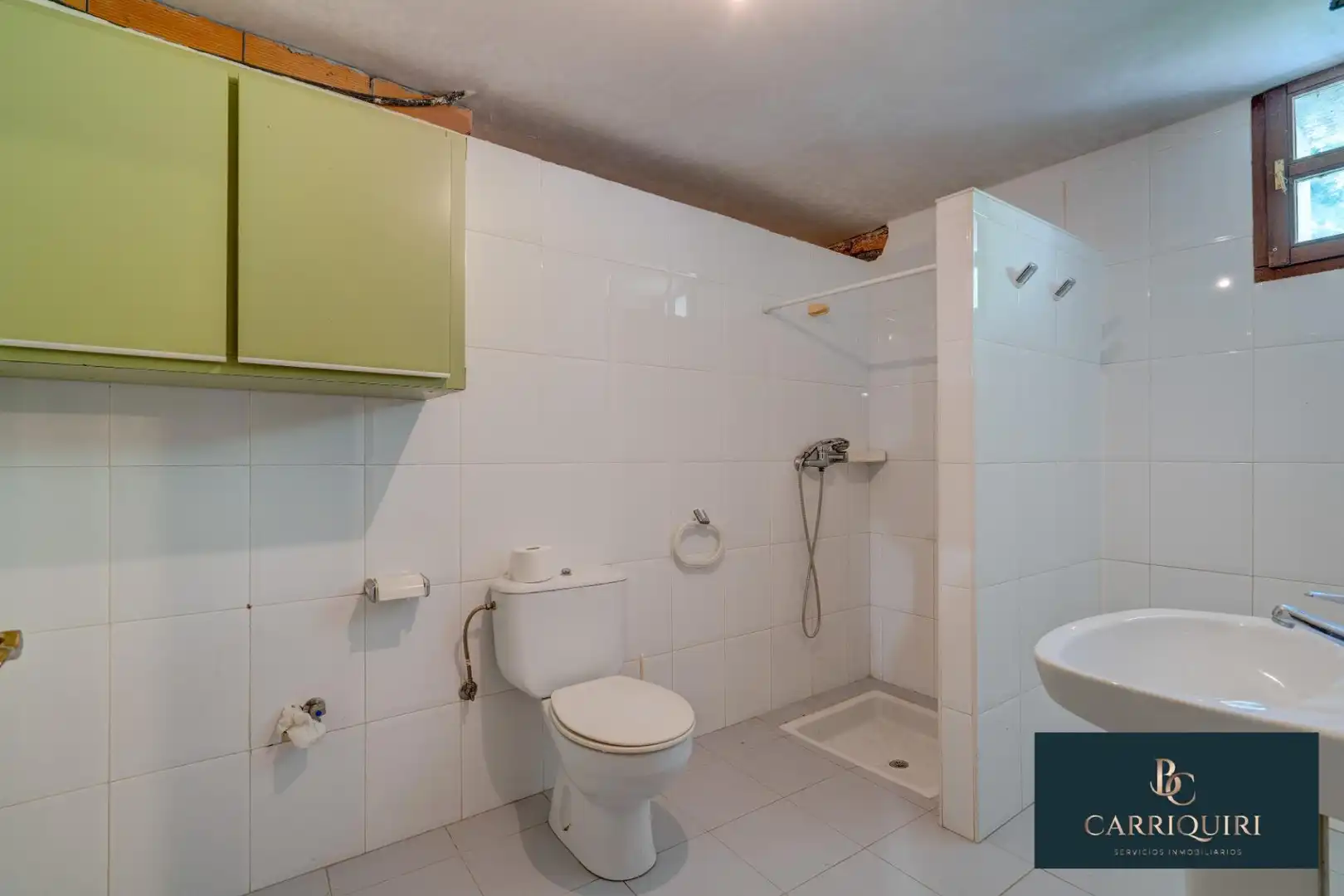 Bathroom of Houses for sale in Oiz